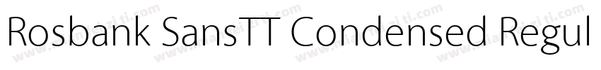 Rosbank SansTT Condensed Regular字体转换